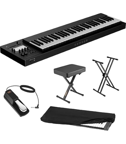 Amazon.com: Expressive E Osmose - 49 Key Polyphonic Synthesizer