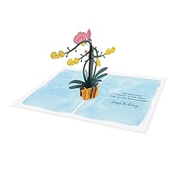 Designer Pop!, Birthday Pop-Up Greeting Card