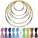 Hestya 10 pcs Metal Rings Hoops with 10 pcs 3 mm Faux Suede Cord String for Dream Catchers and Making Wedding Wreath Decor, 5 Size (2 Inch, 3 Inch, 4 Inch, 5 Inch, 6 Inch)