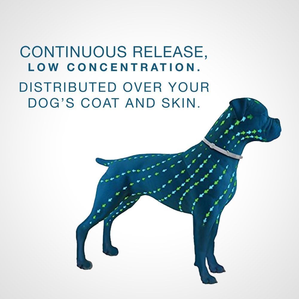 seresto flea collar small dog amazon