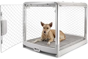 Diggs Revol Dog Crate I Collapsible Dog Crate I Portable Dog Crate I Travel Dog Crate and Kennel for Medium/Large Dogs and Puppies (Ash)