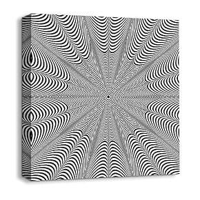 Abstract Visual Illusion Painting for Bedroom Living Room