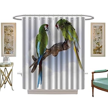 Amazon Com Philip C Williams Shower Curtains With Shower Hooks