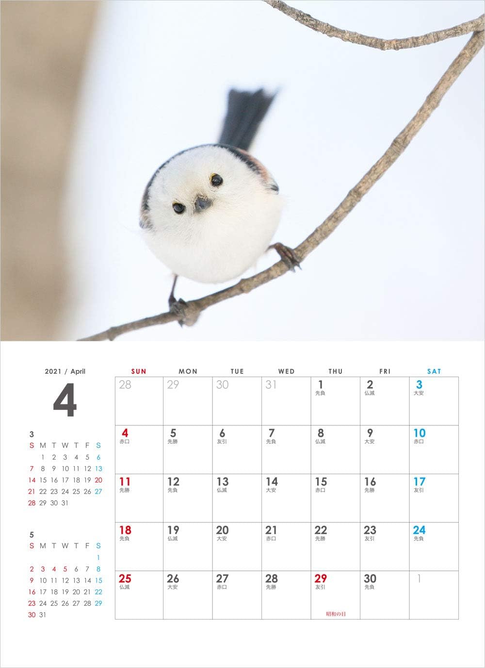 Amazon ぼく シマエナガ 21 壁掛け カレンダー カレンダー 文房具 オフィス用品