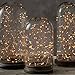 3 Pack, Homestarry Fairy String Lights Copper Wire Lights 24 LEDs Super Bright, Starry Rope Lights for Party, Wedding, Home Table Decorations, Warm White, 8ft,Black Bateery Case
