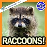 Raccoons!: A My Incredible World Picture Book for Children (My Incredible World: Nature and Animal Picture Books for Children)