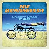 Different Shades Of Blue [2 LP]