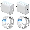 iPhone Charger Fast Charging [Apple MFi Certified] Type C Wall Charger Block with 2Pack 6FT USB C to Lightning Cables Cord Co