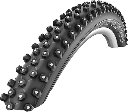 schwalbe marathon winter tubeless