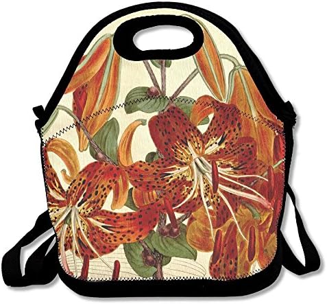 Lilium Portable Carry Insulated Lunch Bag - Bento Bag - Large Reusable Lunch Tote Bags For Women, Teens, Girls, Kids, Baby, Adults