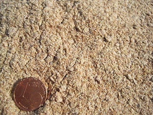 CommonBaits Wheat Flour 2,5Kg Wheat Germ