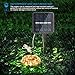 Moreplus 33ft Solar Powered String Lights 8 Modes Copper Wire Lights Indoor/Outdoor Waterproof Decorative String Lights for Patio Garden Wedding Christmas Decor (100 LED-02, Warm White)