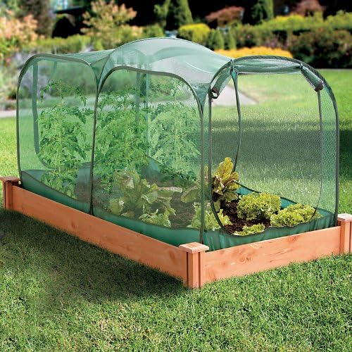 Pop-Up Bird Net with Doors-3'Wx6'Lx3'H