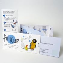 Amazon.com : Pollygene Parrot DNA Gender Test – Bird Sexing Kit ...