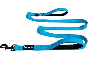 ShawnCo Dream Walk Dog Leash- Premium, Nylon Pet Leash with Soft Neoprene Handle for Small, Medium and Large Dogs (Oceanic Blue, M/L 6FT w/ 2 Handles)
