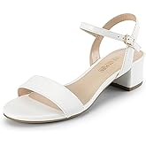 DREAM PAIRS Women's Low Heels for Women Classic Open Toe Ankle Strap Block Chunky Heel Sandals Holiday Party Wedding Dress Pumps Shoes
