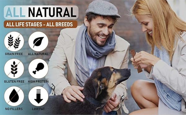 PET JERKY FACTORY PREMIUM BEEF AND BANANA 12 OZ. DOG JERKY TREATS | 100% HUMAN GRADE | USA MADE | HIGH PROTEIN | GRAIN FREE | LIMITED INGREDIENTS | NO FILLER | BHA-BHT FREE | SOFT-TENDER