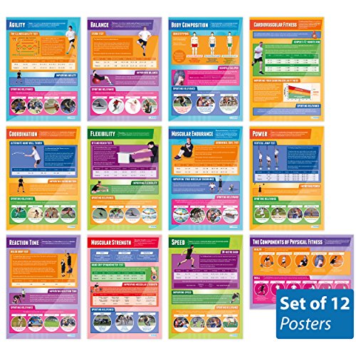 Components of Physical Fitness - Set of 12 PE Posters | Classroom Posters for PE | Gloss Paper measuring 33" x 23.5" | Phys Ed School Posters | Physical Education Gym Charts, by Daydream Education - Thumbnail 7