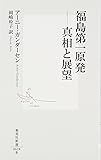 福島第一原発 ―真相と展望 (集英社新書)