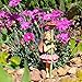 Miniature Fairy Garden Zinnia Fairy