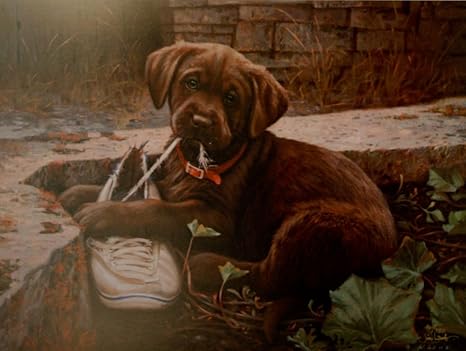 missing chocolate lab