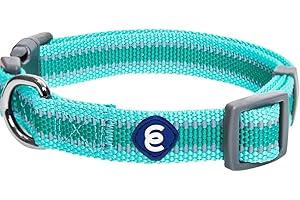 Blueberry Pet Essentials Matching Small Dog Collar | Adjustable Classic Solid Color Nylon Dog Collars for Small Dogs | Reflective Minty Green Dog Collar for Small Dogs