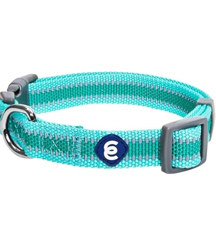 Amazon.com: Blueberry Pet 4 種圖案Bon Voyage Sea Lover 可調式狗