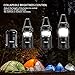 VIBELITE Led Lantern, 4 Pack Portable LED Camping Lantern with 12 AA Batteries - Survival Kit for Emergency, Hurricane, Power Outage (Black, Collapsible)