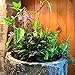 Country Corner Vintage Plant and Fern Stand. Unique Indoor Stump Planter and Flower Pot. Tall Rustic Indoor Cement Resin Flowerpot.thumb 4