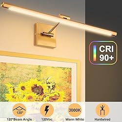 Xbuyee LED Picture Lights for Paintings, 24.4inch