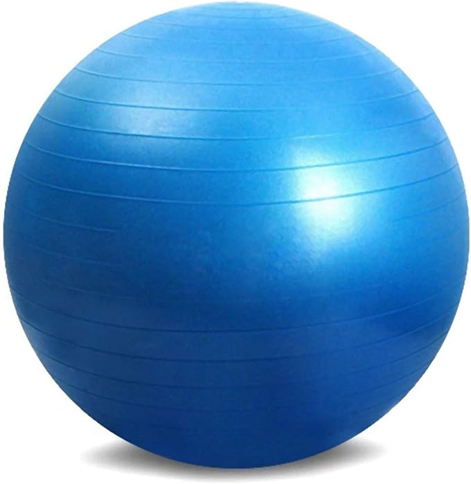 65Cm PVC Exercise Sports for Yoga Ball Fitness Pilates