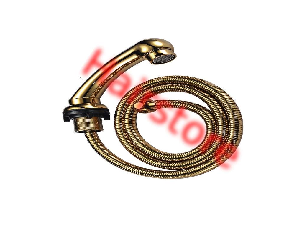 Gold Shower Head Shower Head and Spray Hose for Salon Basin or Hairdressing