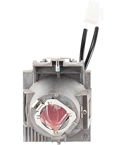 Amazon.com: ViewSonic RLC-100 Projector Replacement Lamp for  