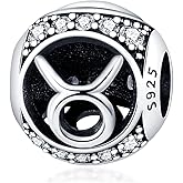 TINSLO Zodiac Sign Bead Birthday Charms 925 Sterling Silver Birthstone Charms Fits Women's Charm Bracelet & Necklace Bangle Gifts