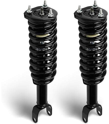 Amazon.com: UNITY AUTOMOTIVE 11096 Front Complete Strut