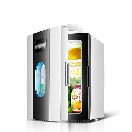 GBT 10L coche frigorífico coche hogar doble uso refrigeración ...