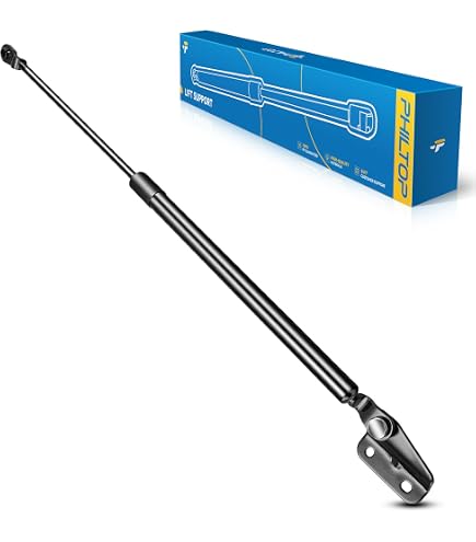 Amazon.com: Qty(2) BOXI 6604 Rear Glass Window Gas Charged Lift