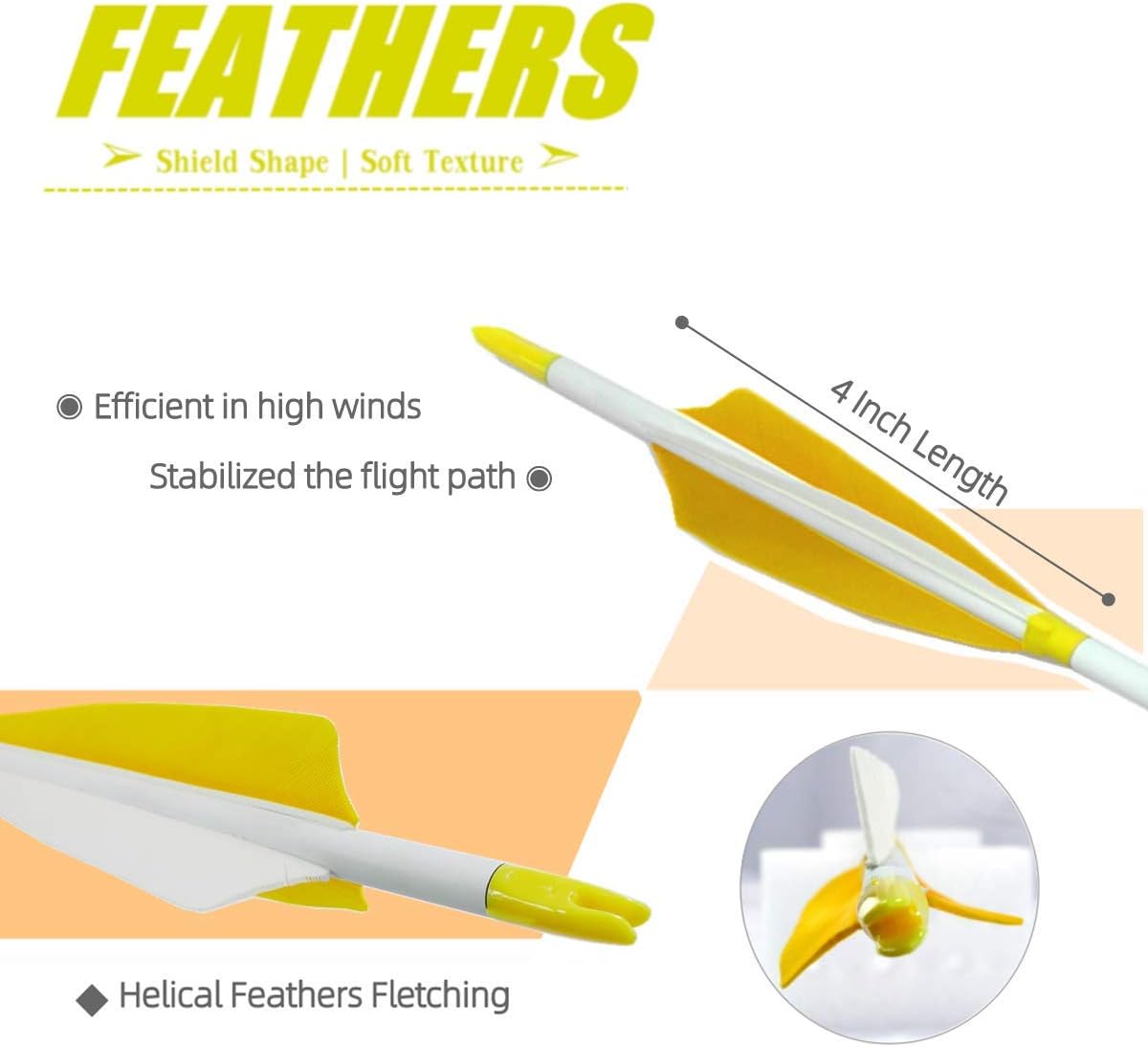 Letszhu Carbon Arrows 500 Spine with 4 Inch Helical Feathers Fletching and Field Points for Archery Targeting Shooting (6 Pack) : Sports & Outdoors