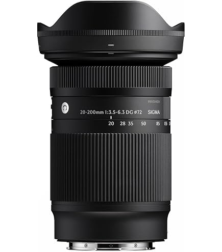 LUMIX S 28-200mm F4-7.1 Macro O.I.S. | Amazon.com.br
