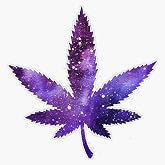 MAGNET Marijuana Leaf - Purple Space Magnetic Vinyl Sticker Decal Magnet 5"