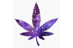 VISION GRAPHICS MAGNET Marijuana Leaf - Purple Space Magnetic Vinyl Sticker Decal Magnet 5"