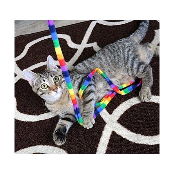 cat dancer products rainbow cat charmer