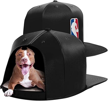 blue life protection formula senior