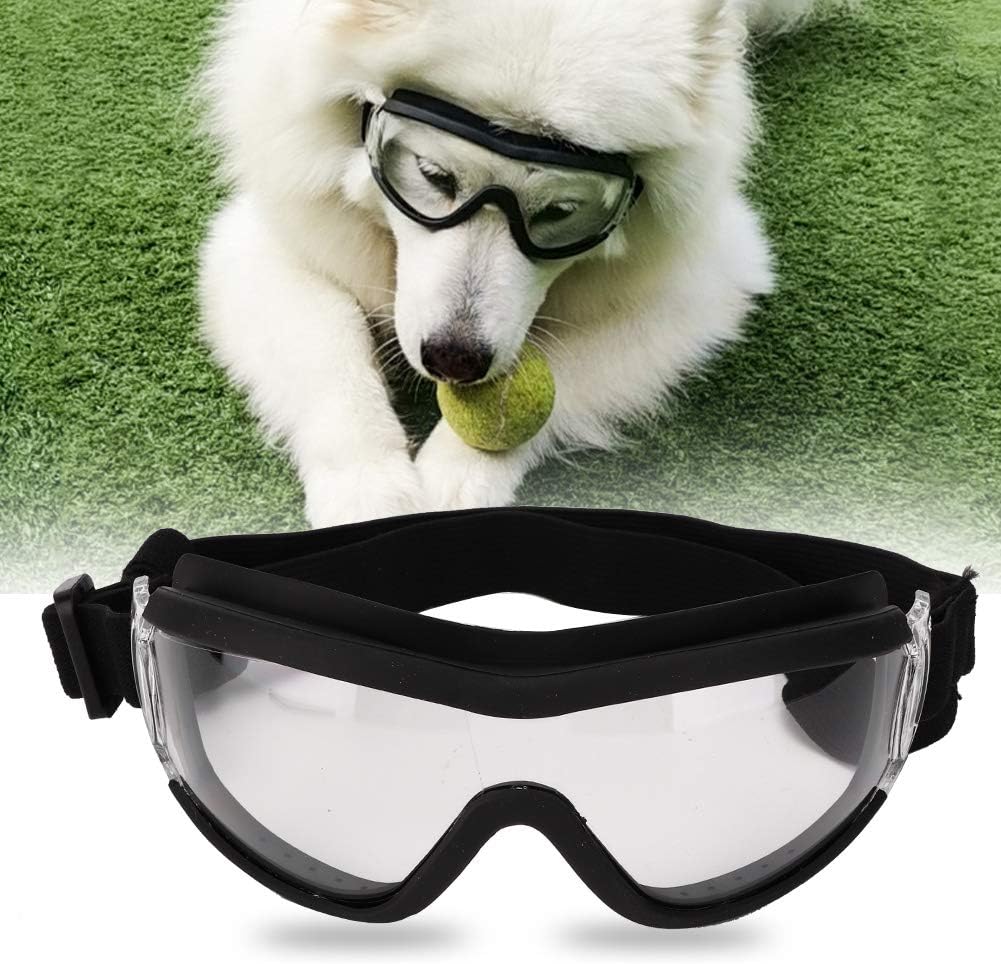 犬 ゴーグル 透明 犬 ゴーグル 透明 Blogsongoimgjp
