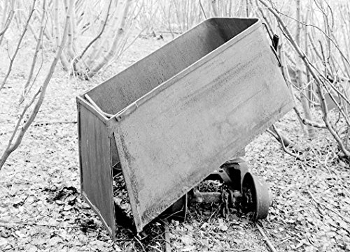 Historic Photo | Stampede Gold Mine, Kantishna, Denali Borough, AK 25 Photograph 14in x 11in