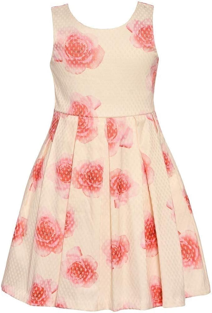 Bonnie Jean Little Girls Ivory Rose Print Bow KneeLength