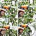 Ohuhu 100 Ft Expandable Garden Hose with Brass Connector & Spray Nozzle