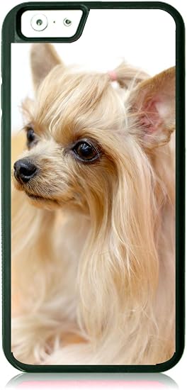 Amazon Com Long Haired Blond Chihuahua Dog Design Black Rubber