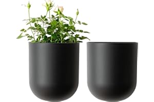 LA JOLIE MUSE Wall Hanging Planters for Indoor Plants，Hanging Flower Pots for Air Plants Succulent, Set of 2, 5.7L*4.1W*7H, Black