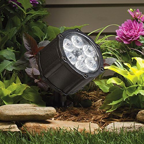 Textured Black Spot Light